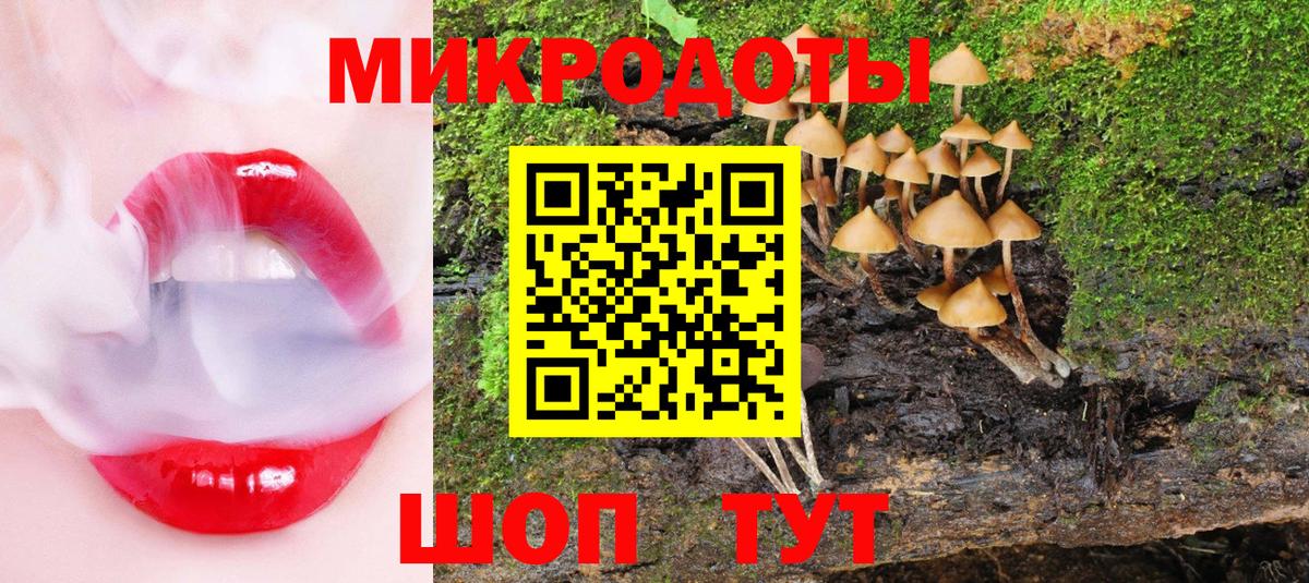 Галлюциногенные грибы Psilocybe  Вход с VPN  Галлюциногенные грибы мухоморы  Заволжье 